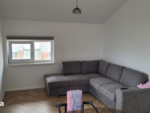 Apartament închirieri în Alba