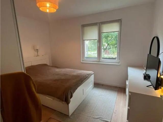 Apartament închirieri în Târgu Mureș, Mureș