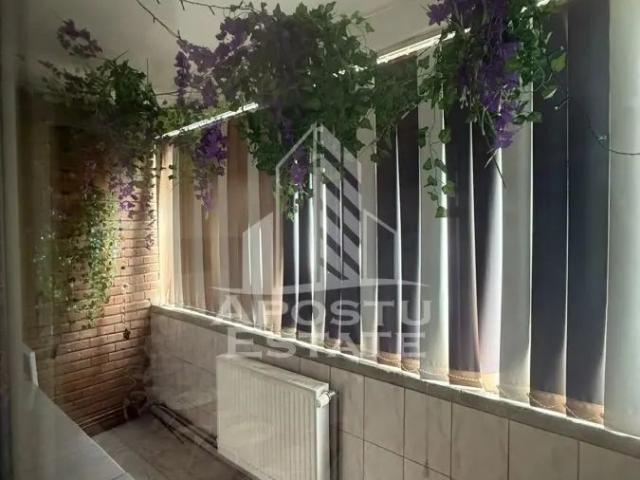 Apartament închirieri în Cetate, Timișoara