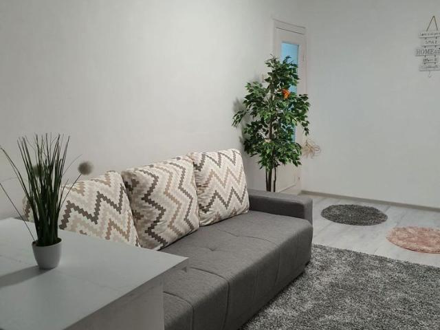 Apartament închirieri în Timisoara, Timiș