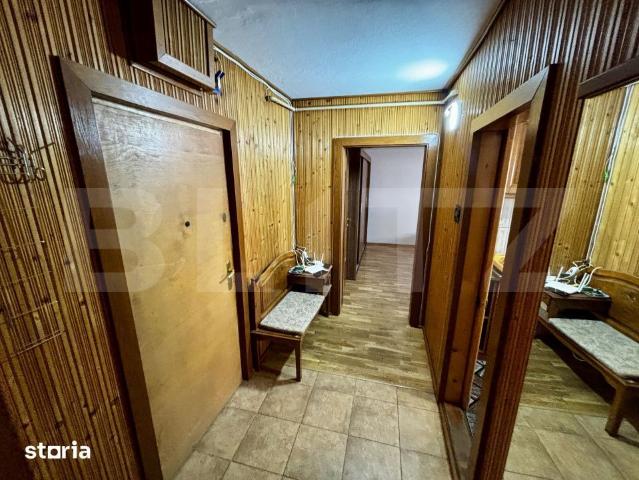 Apartament închirieri în Timisoara, Timiș