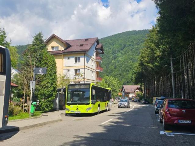 Apartament închirieri în Sinaia, Prahova