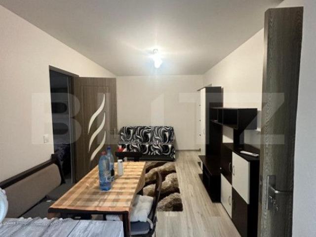 Apartament închirieri în Timisoara, Timiș