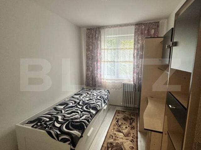 Apartament închirieri în Timisoara, Timiș