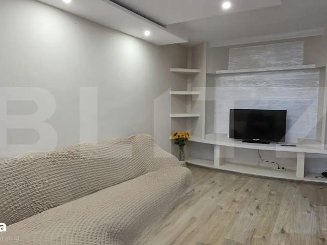 Apartament închirieri în Mintiu, Satu Mare