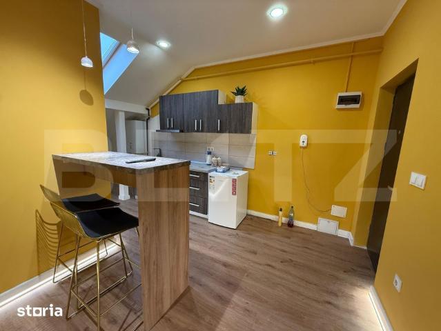 Apartament închirieri în Mintiu, Satu Mare