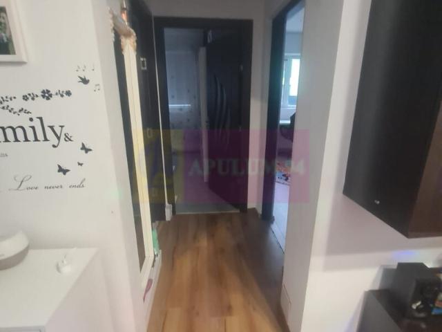 Apartament vânzări în Campina, Prahova