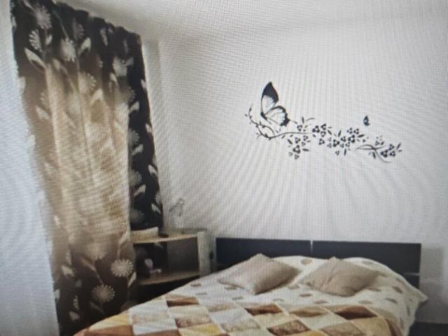 Apartament vânzări