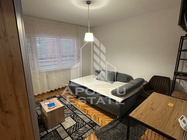 Apartament închirieri în Timisoara, Timiș