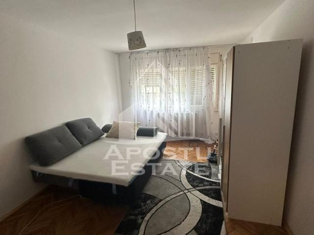 Apartament închirieri în Timisoara, Timiș