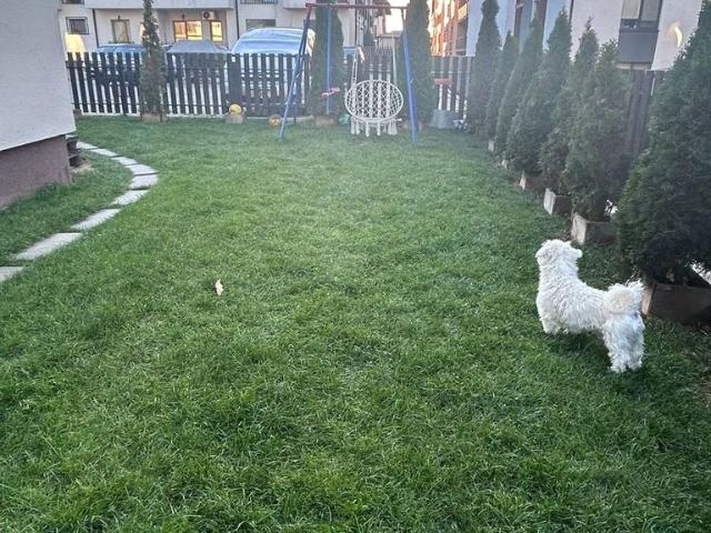 Apartament vânzări în Cisnadie, Sibiu