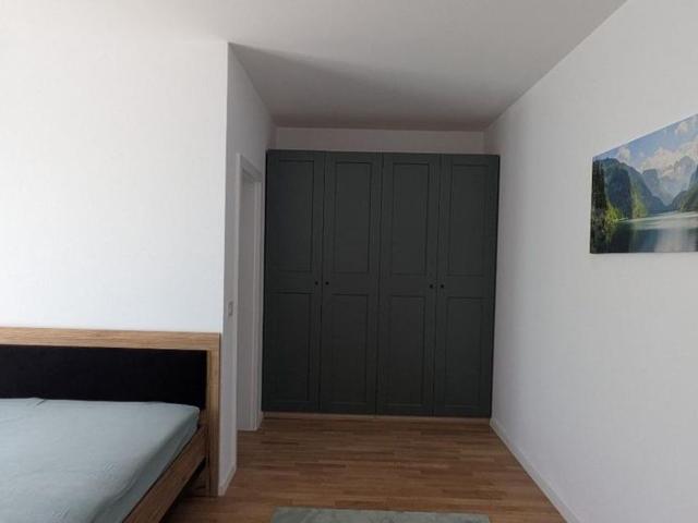 Apartament închirieri în Timisoara, Timiș