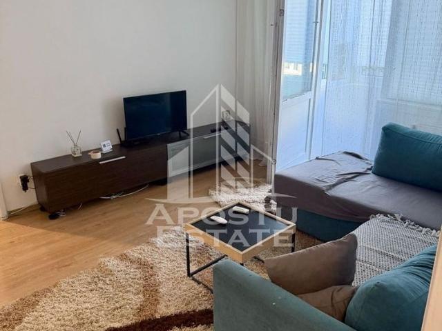 Apartament închirieri în Timisoara, Timiș