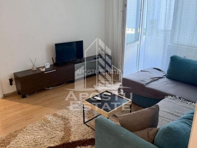 Apartament închirieri în Timisoara, Timiș