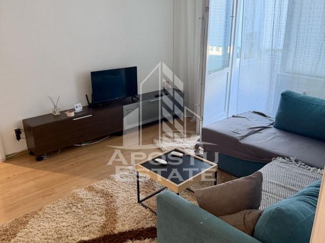 Apartament închirieri în Timisoara, Timiș
