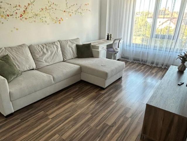 Apartament închirieri în Valea Lupului, Iași