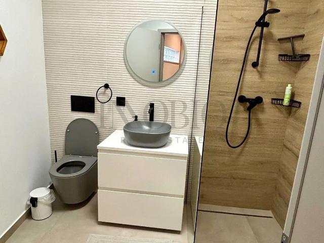 Apartament închirieri în Sector 1, București