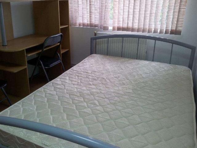 Apartament închirieri în Mircea Cel Batran, Iași