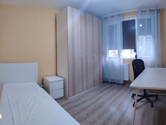 Apartament închirieri în Sector 6, București