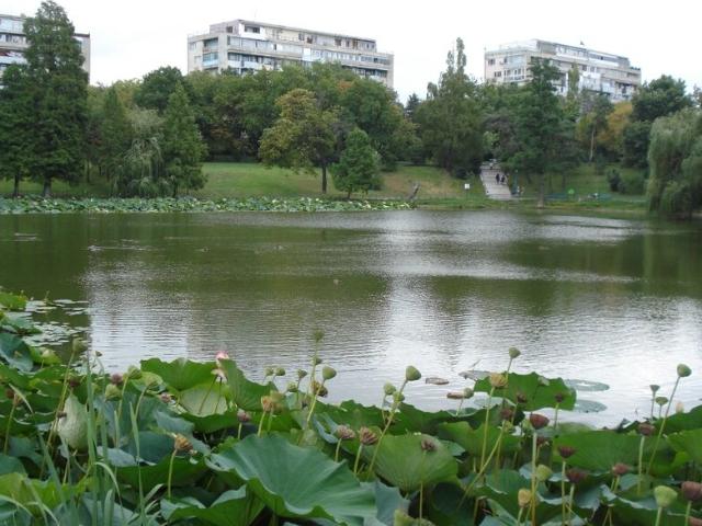 Apartament vânzări