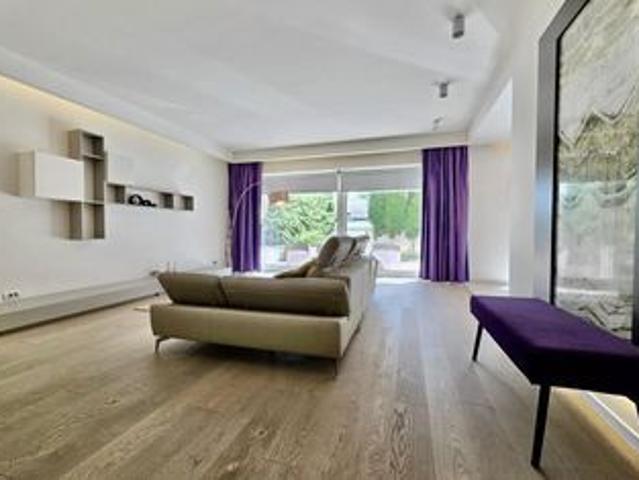 Apartament închirieri în Zodiac, Voluntari