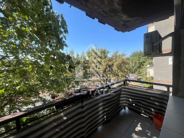 Apartament închirieri în Timisoara, Timiș