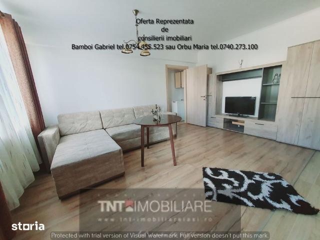 Apartament închirieri în Mircea Cel Batran, Iași