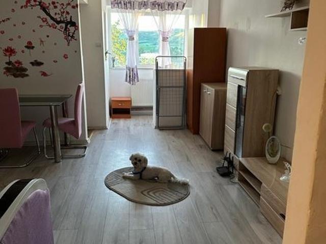 Apartament închirieri în Mureseni, Mureș