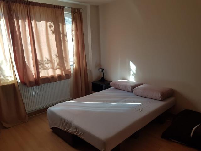 Apartament închirieri în Timisoara, Timiș