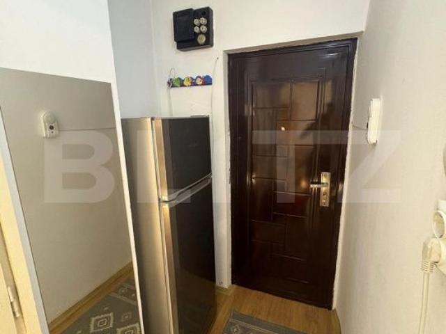 Apartament închirieri în Timisoara, Timiș