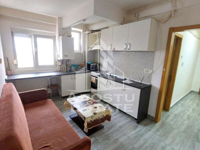 Apartament închirieri în Prințul Turcesc - Lunei, Timișoara