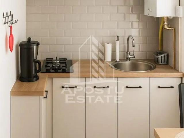 Apartament închirieri în Cetate, Timișoara
