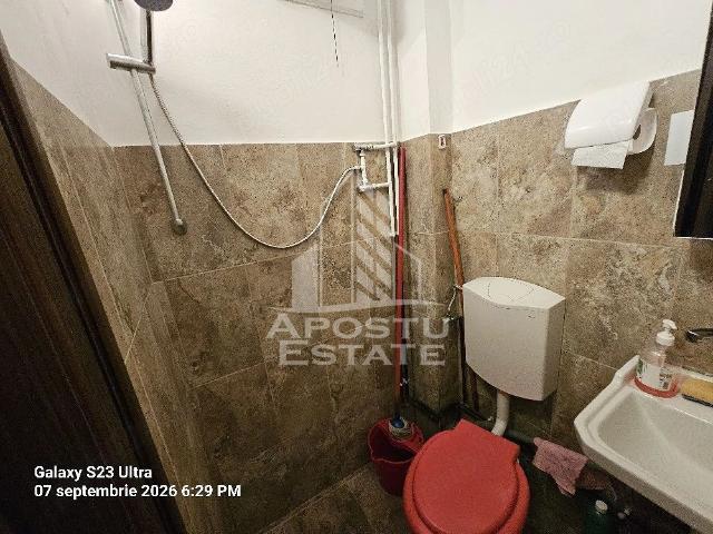 Apartament închirieri în Timisoara, Timiș