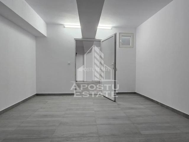 Apartament închirieri în Timisoara, Timiș