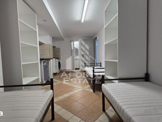 Apartament închirieri în Timisoara, Timiș