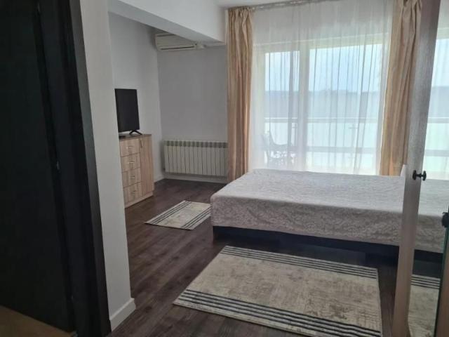 Apartament închirieri în Mircea Cel Batran, Iași