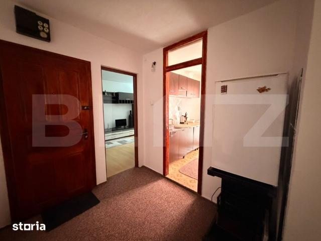 Apartament închirieri în Timisoara, Timiș