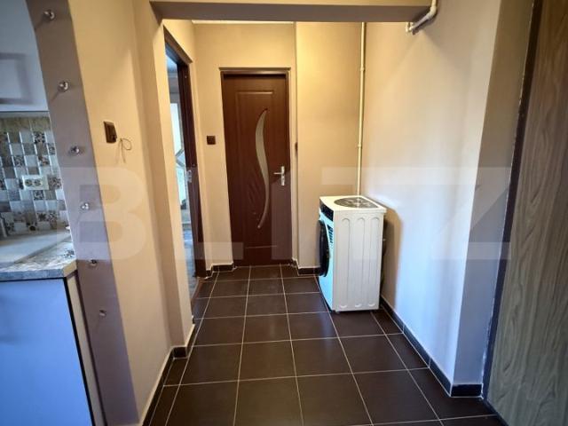 Apartament închirieri în Paulian, Satu Mare