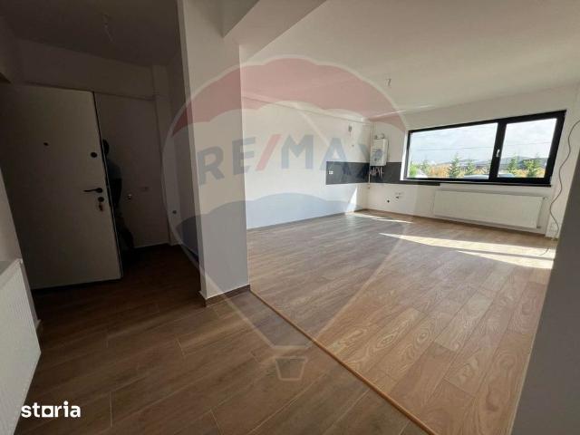 Apartament închirieri în Burila Mare, Mehedinți