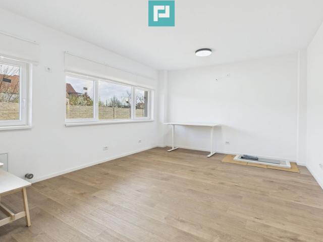 Apartament închirieri în Arad