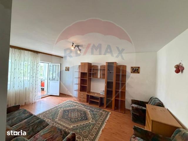 Apartament închirieri în Burila Mare, Mehedinți