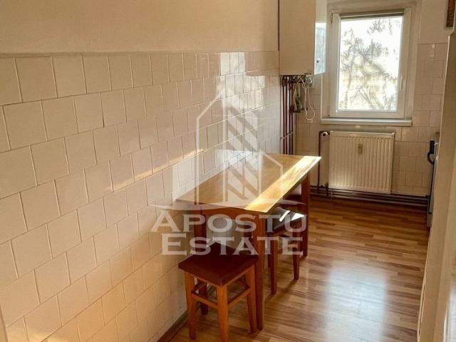 Apartament închirieri în Timisoara, Timiș