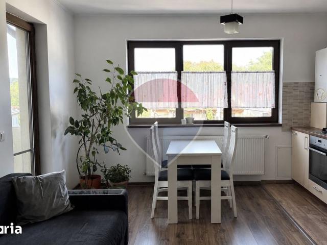 Apartament închirieri în Cluj