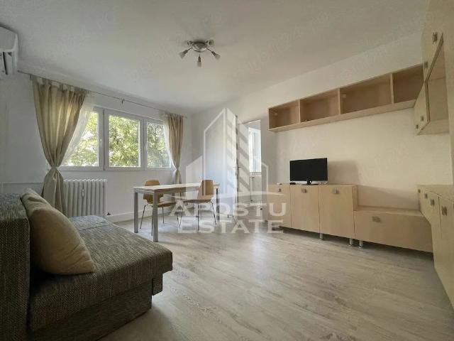 Apartament închirieri în Antene, Timișoara