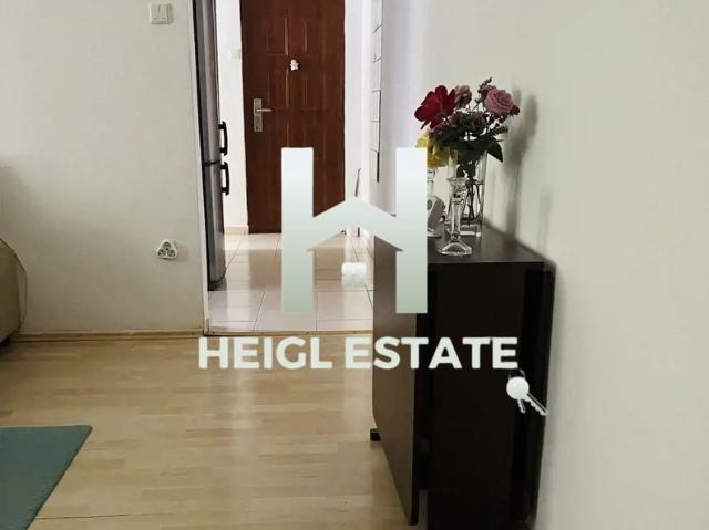 Apartament vânzări în Timisoara