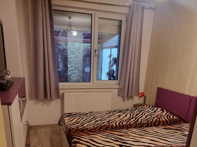Apartament închirieri în Mircea Cel Batran, Iași
