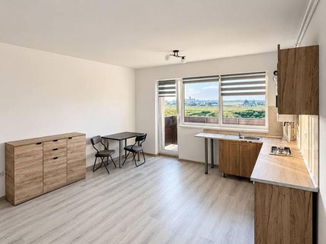 Apartament închirieri în Sanpetru, Brașov