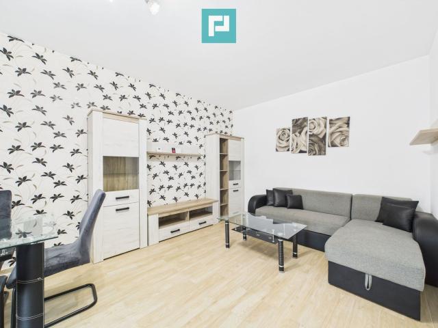 Apartament închirieri în Timisoara, Timiș