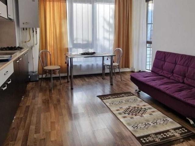 Apartament închirieri în Mircea Cel Batran, Iași
