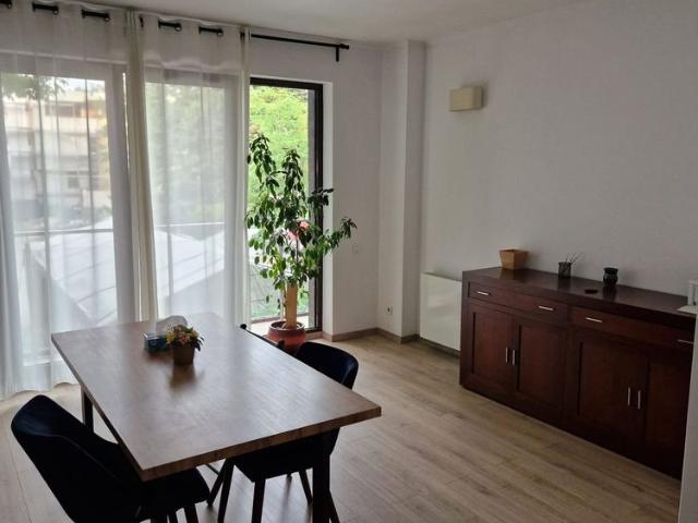 Apartament închirieri în Sector 1, București